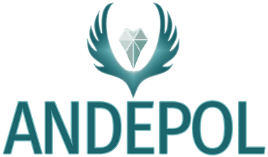 Andepol logo